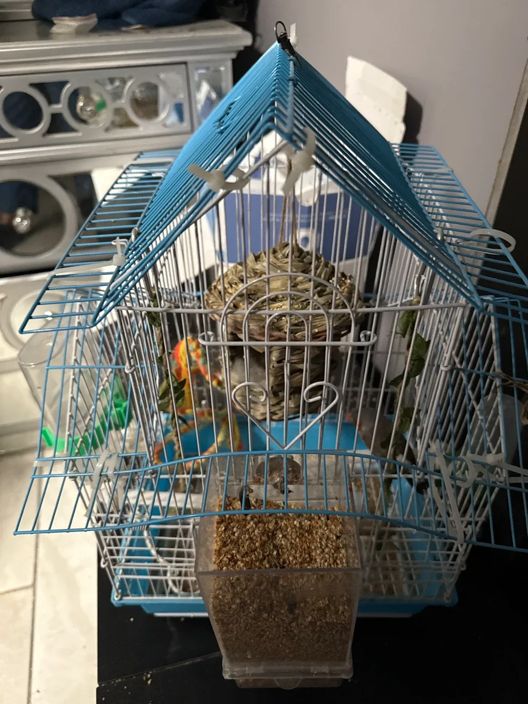 It includes a little bird.  Bird Cage with Accessories image indicator(6)