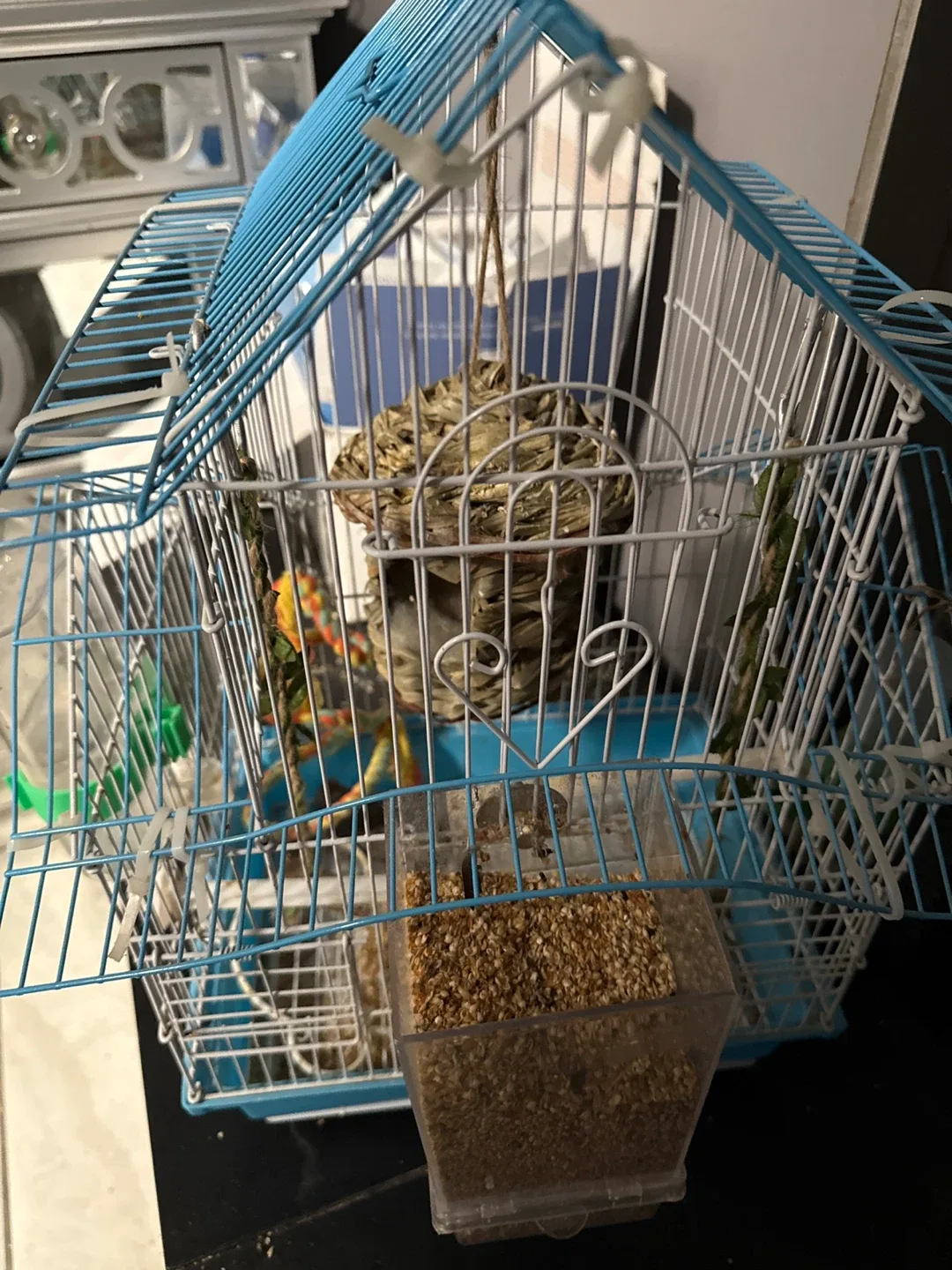 It includes a little bird.  Bird Cage with Accessories image indicator(4)