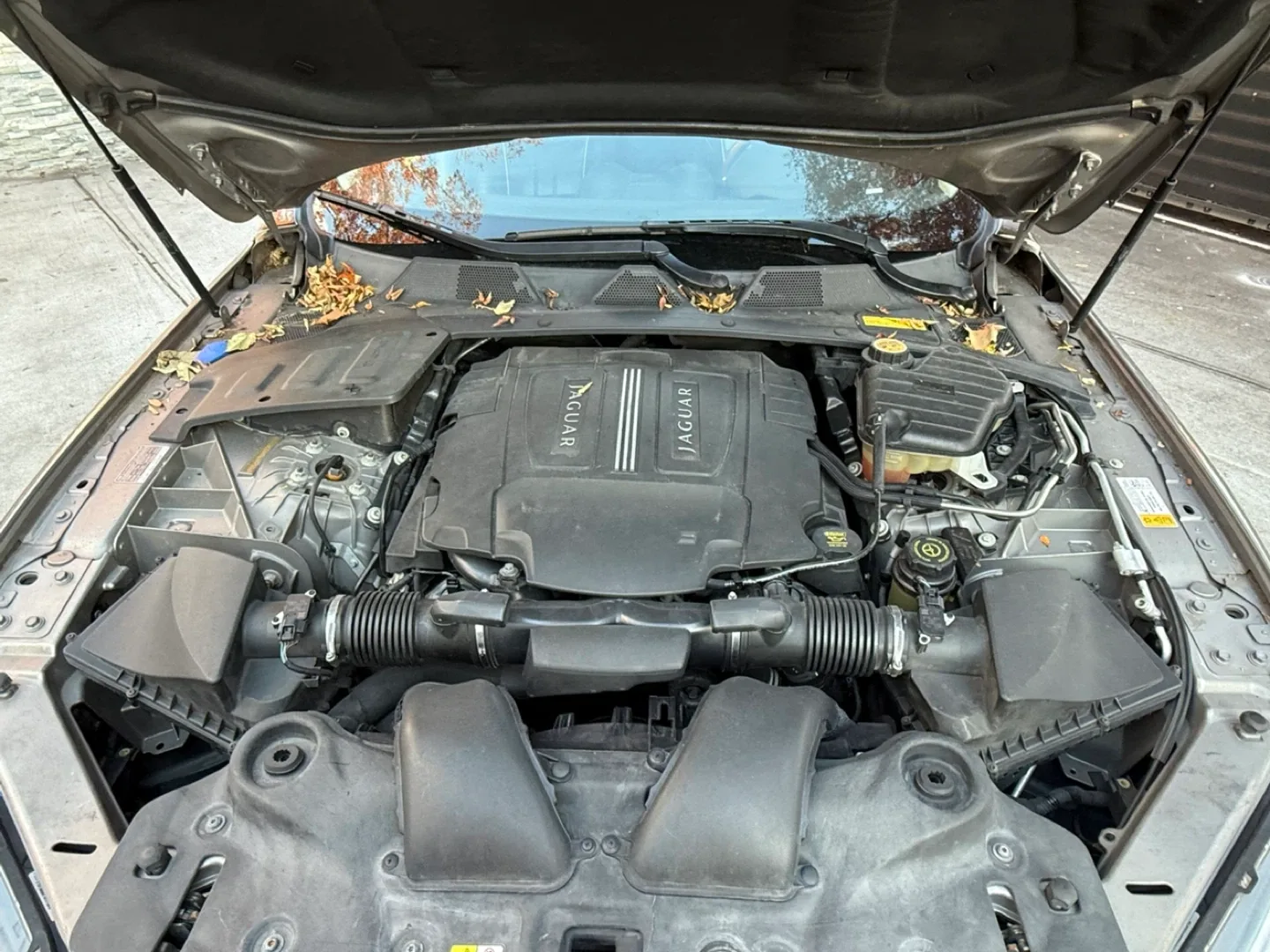 2011 Jaguar XJ-L Sedan - Luxury Car! image indicator(9)