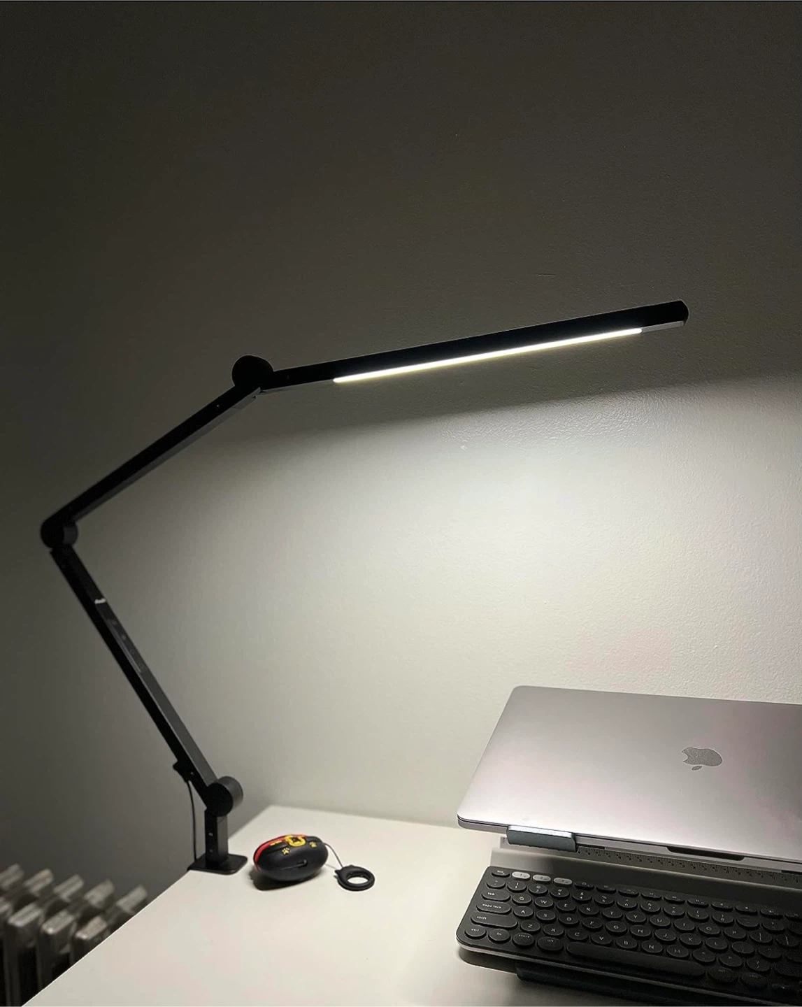 LED Desk Lamp with Clamp