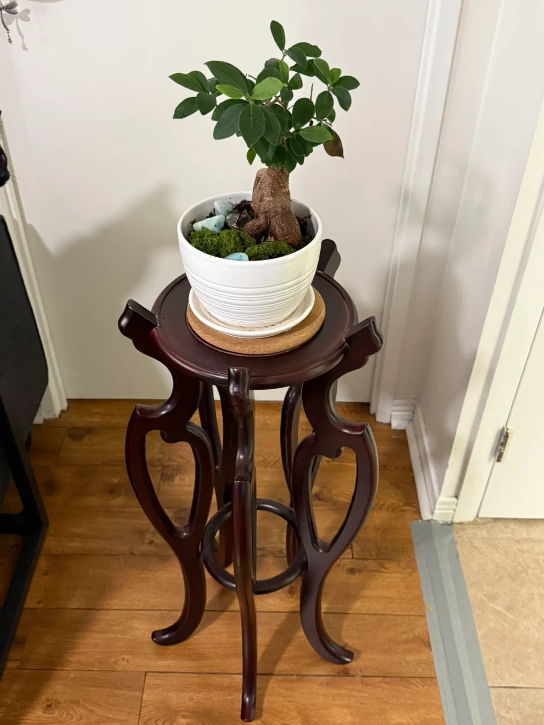 Dark Wood Plant Stand