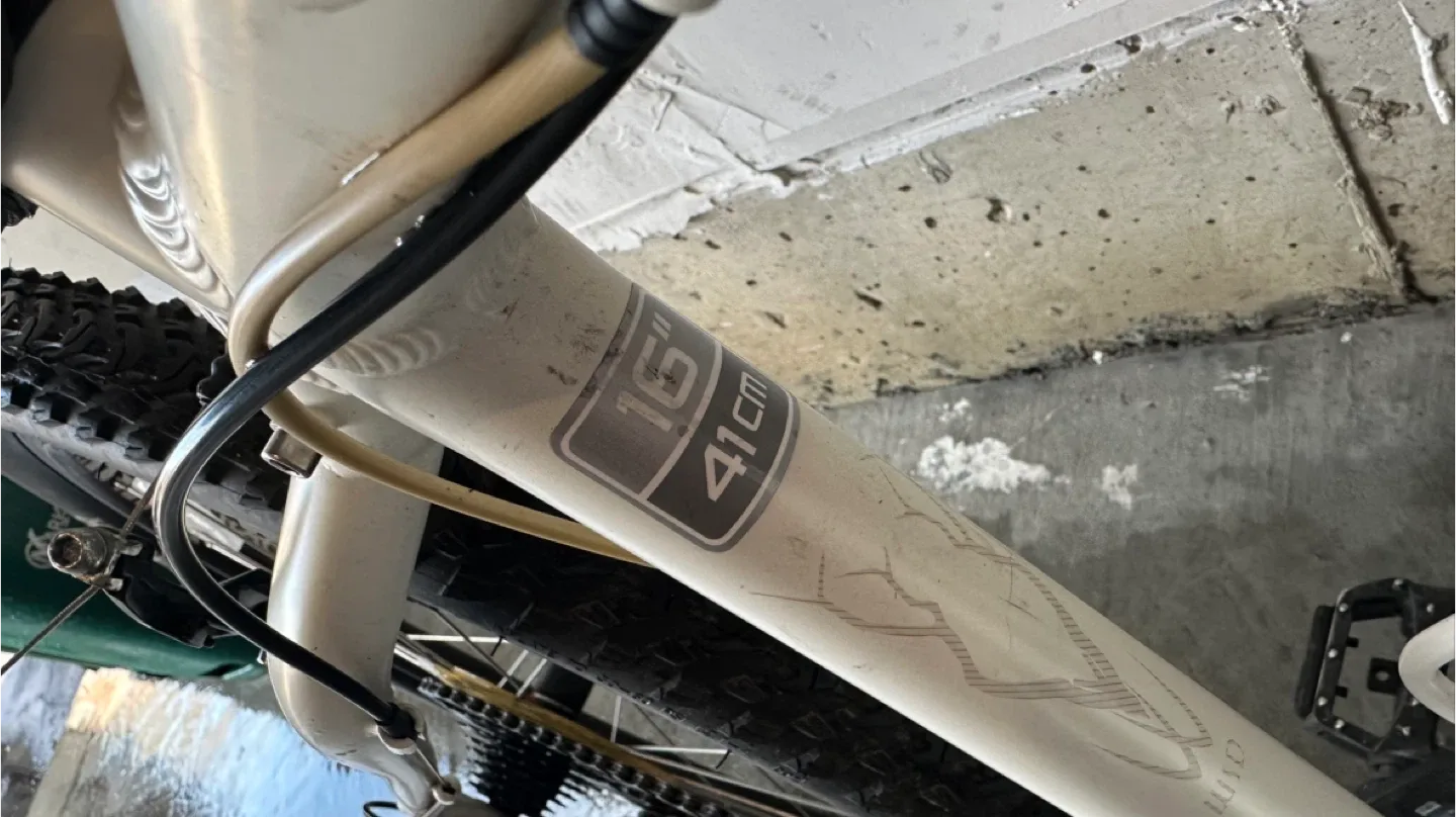 Trek Mountain Bike - 26 inch wheel image indicator(5)