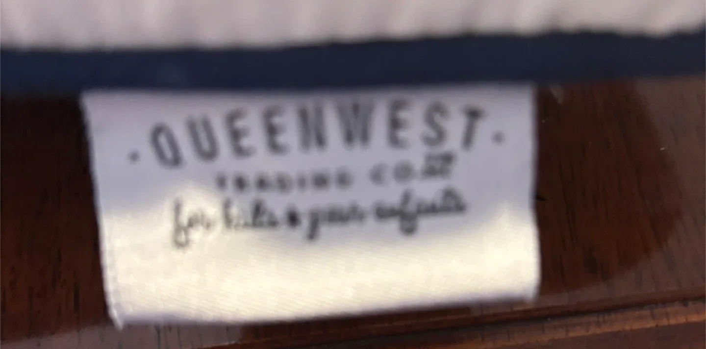 Queenwest Dinosaur Field Guide Pillow image indicator(2)