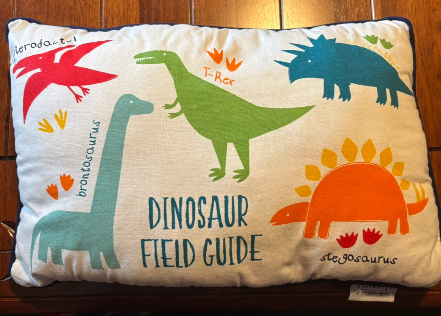 Queenwest Dinosaur Field Guide Pillow