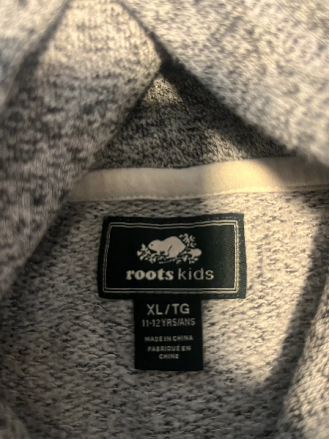 Roots Kids Hoodie, Size XL (11-12 Years) image indicator(2)