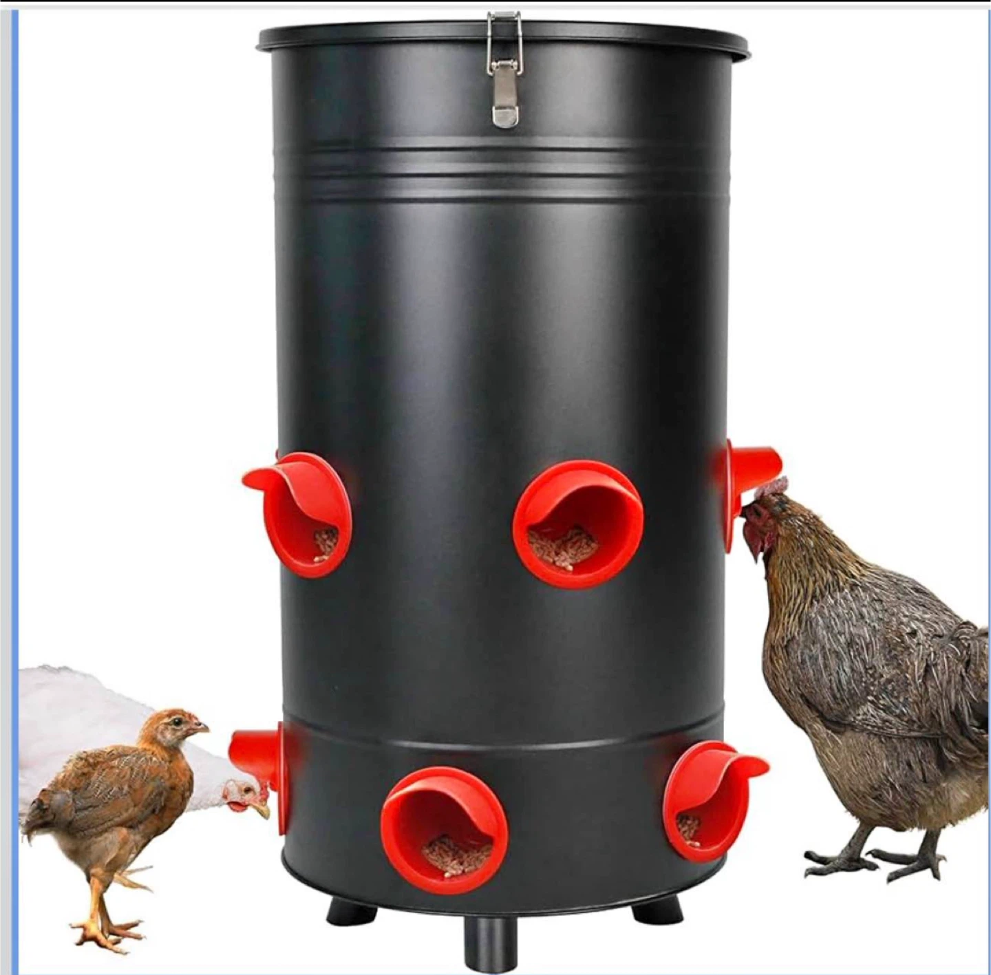 KOL Ranch Essential Tools Chicken Feeder