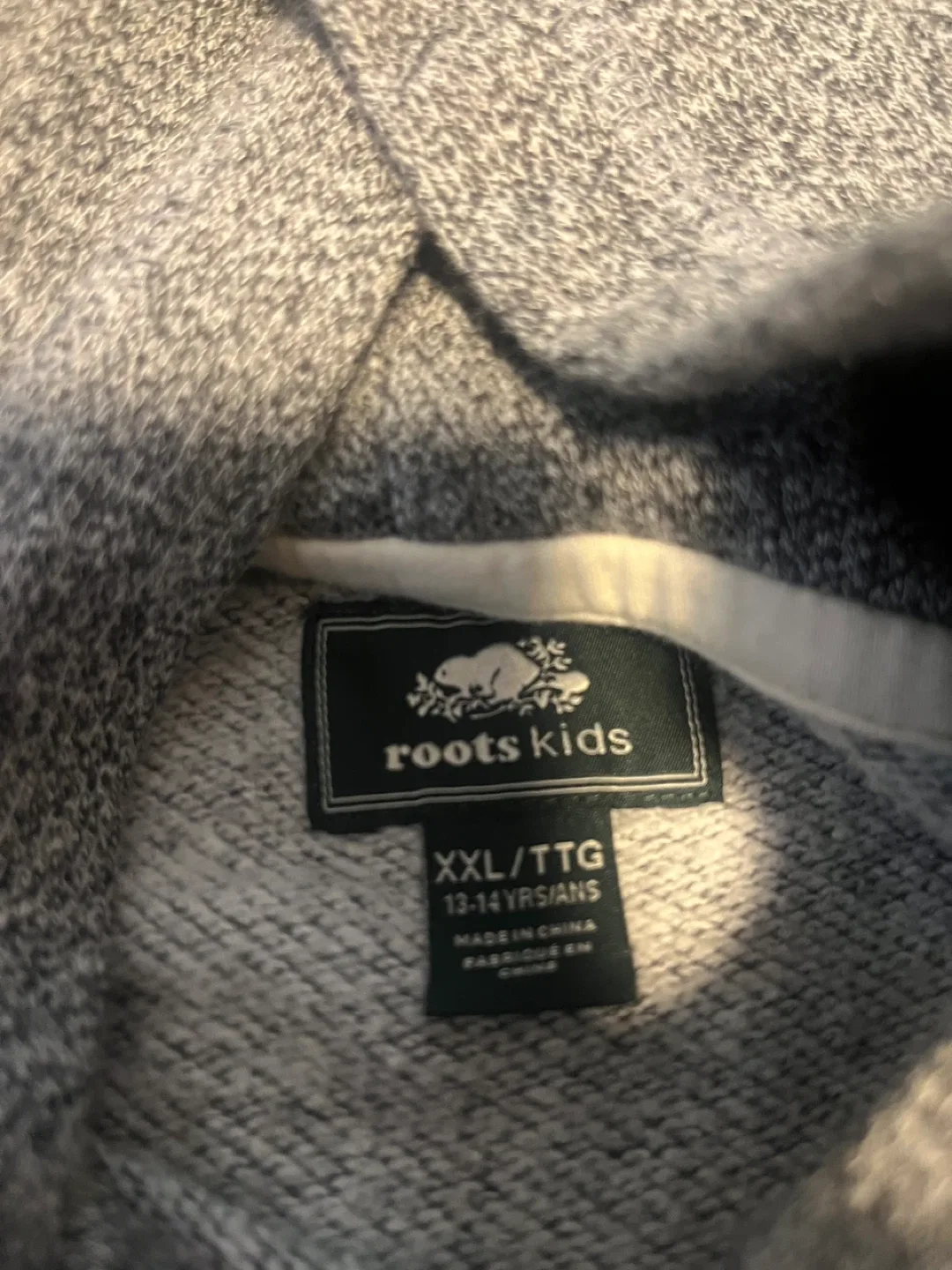 Roots Kids Hoodie - XXL (13-14 Yrs) image indicator(2)