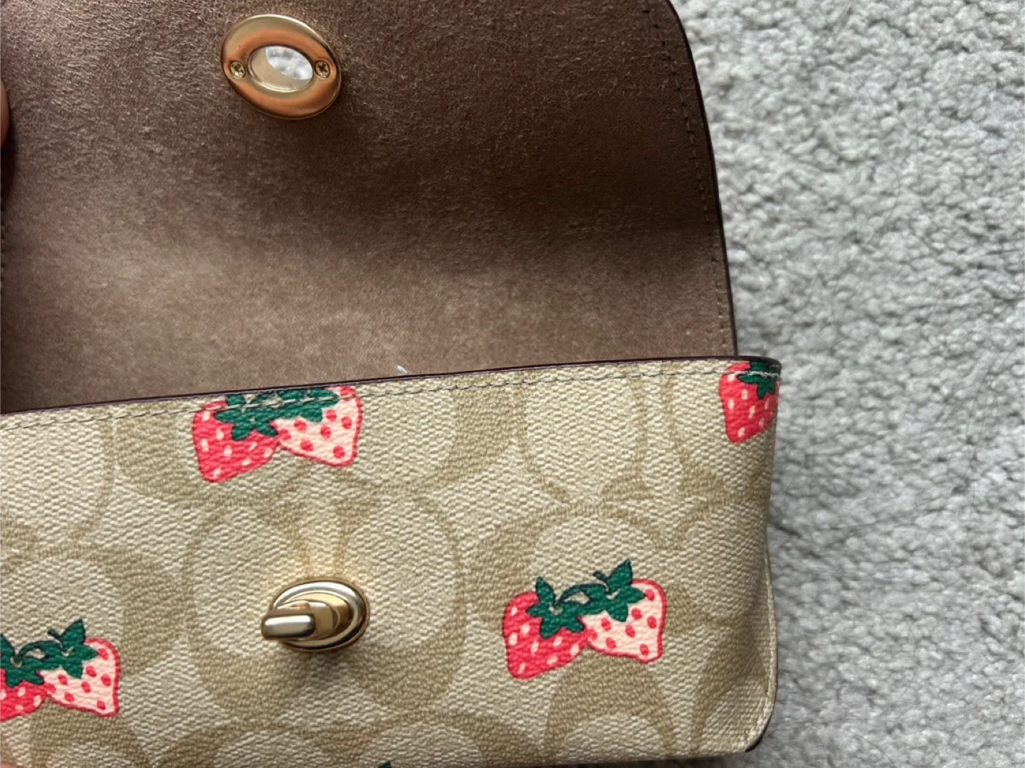 Coach Strawberry Print sunglass case image indicator(3)