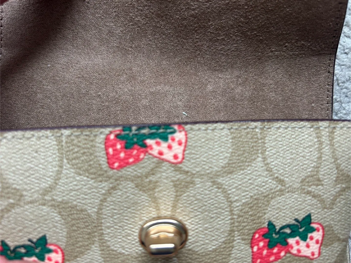 Coach Strawberry Print sunglass case image indicator(4)