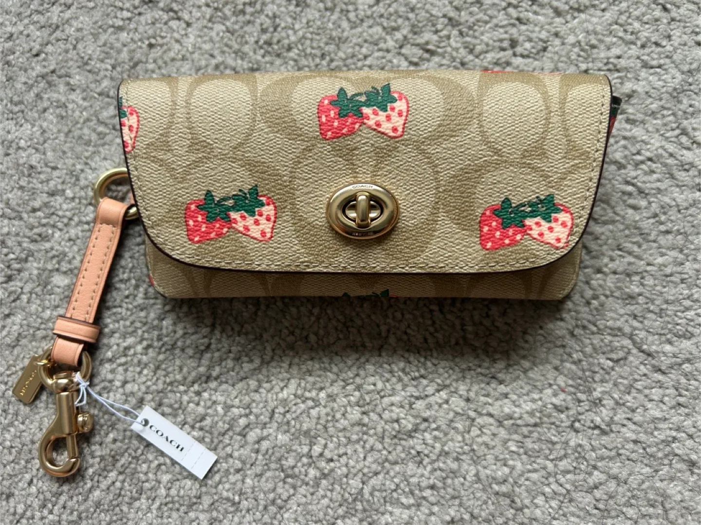 Coach Strawberry Print sunglass case