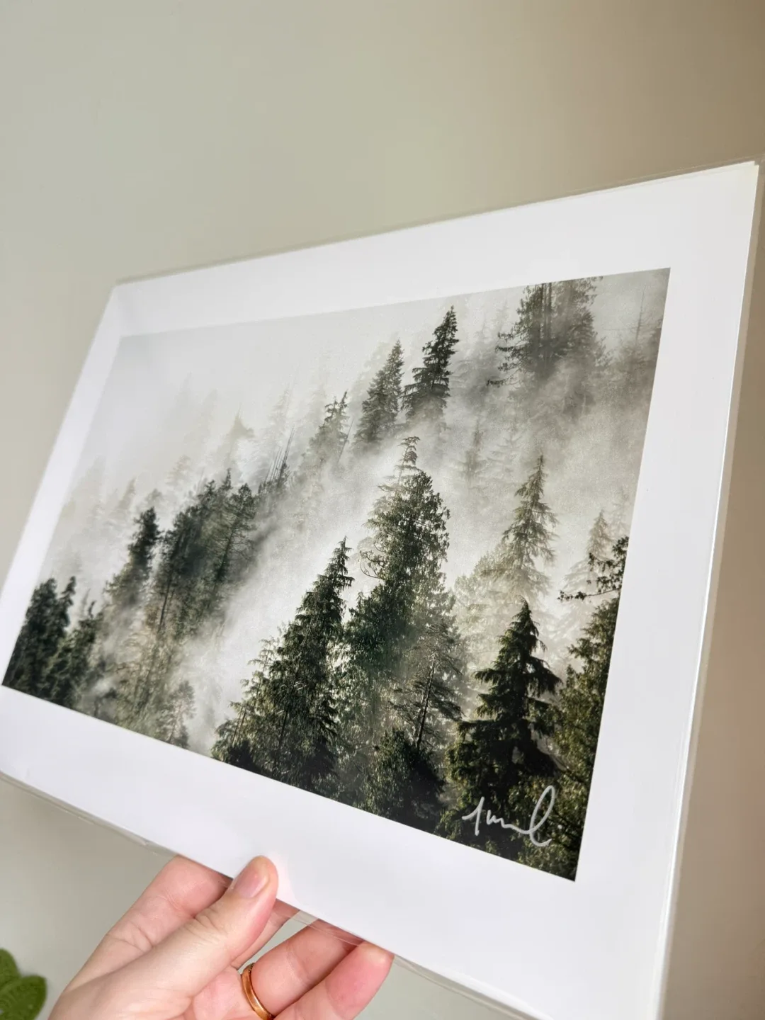 BNIB Original Jeremy Koreski Print - Forest Fog image indicator(4)