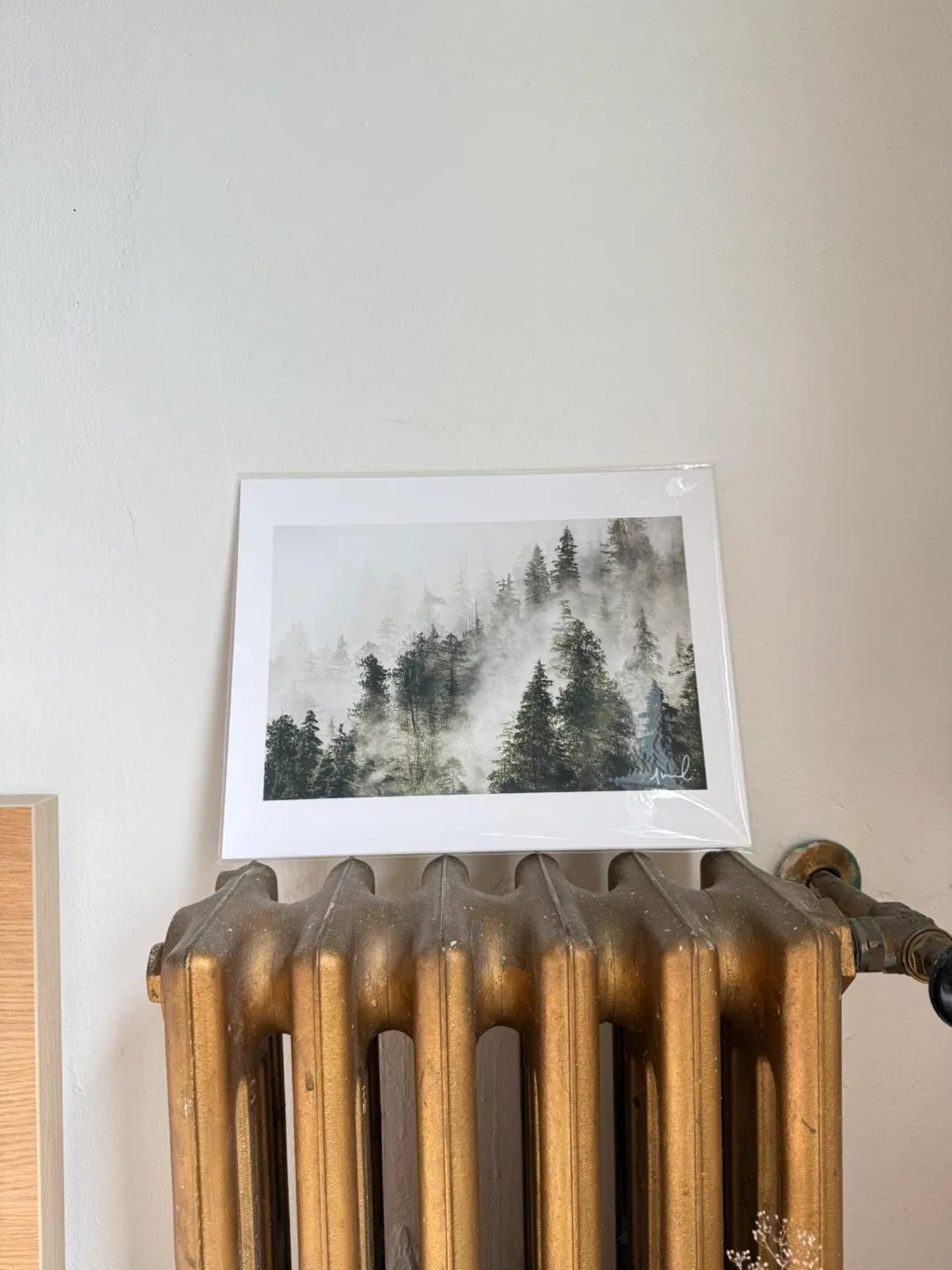BNIB Original Jeremy Koreski Print - Forest Fog