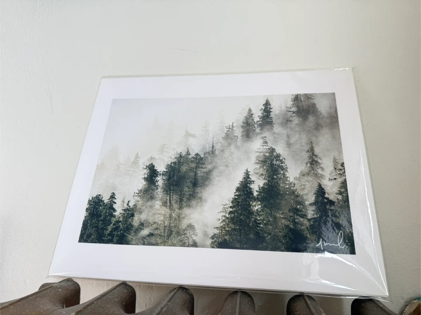 BNIB Original Jeremy Koreski Print - Forest Fog image indicator(3)