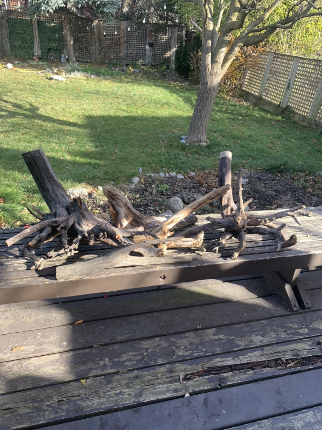 Driftwood pieces