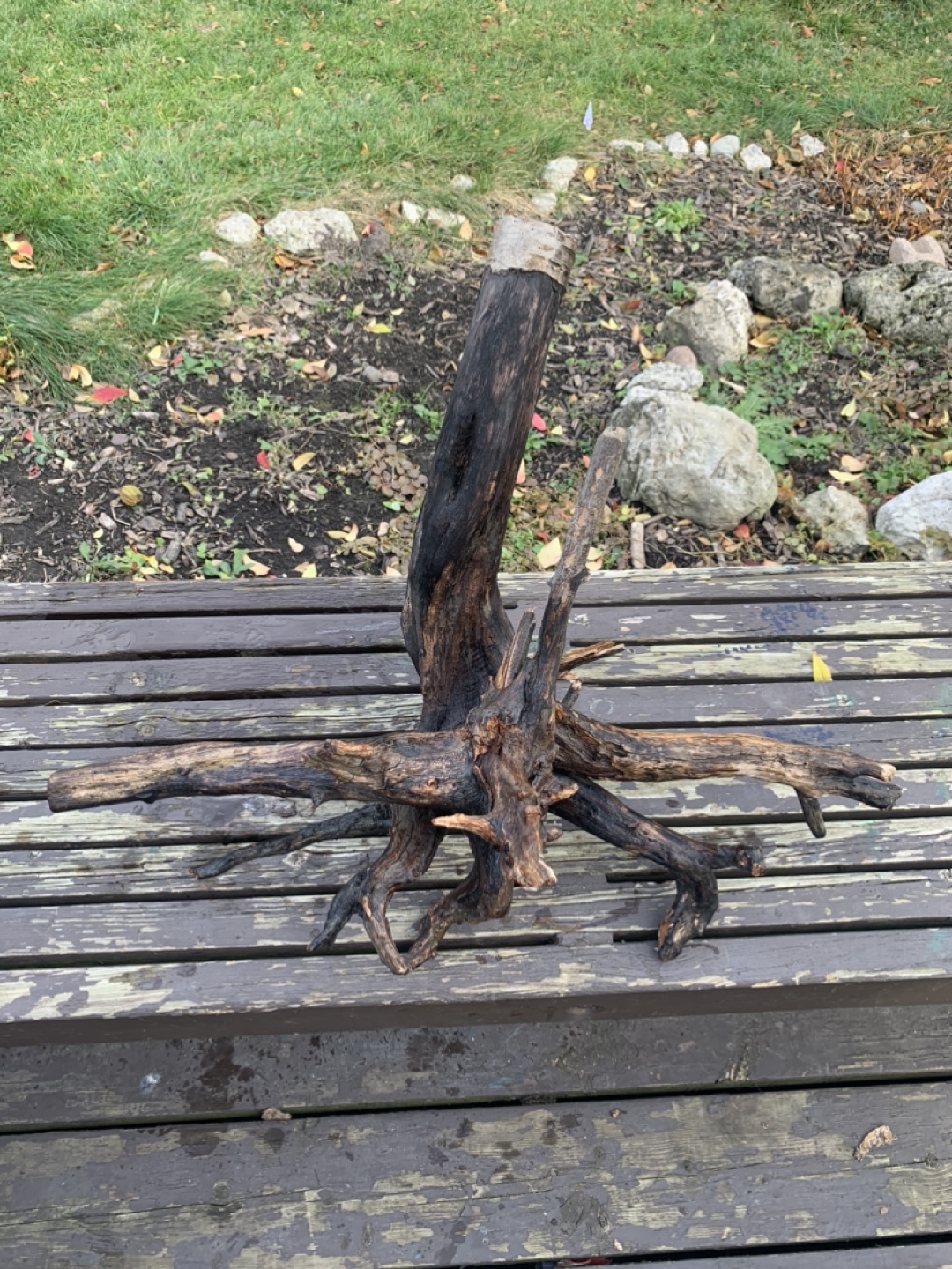 Driftwood pieces - photo 3