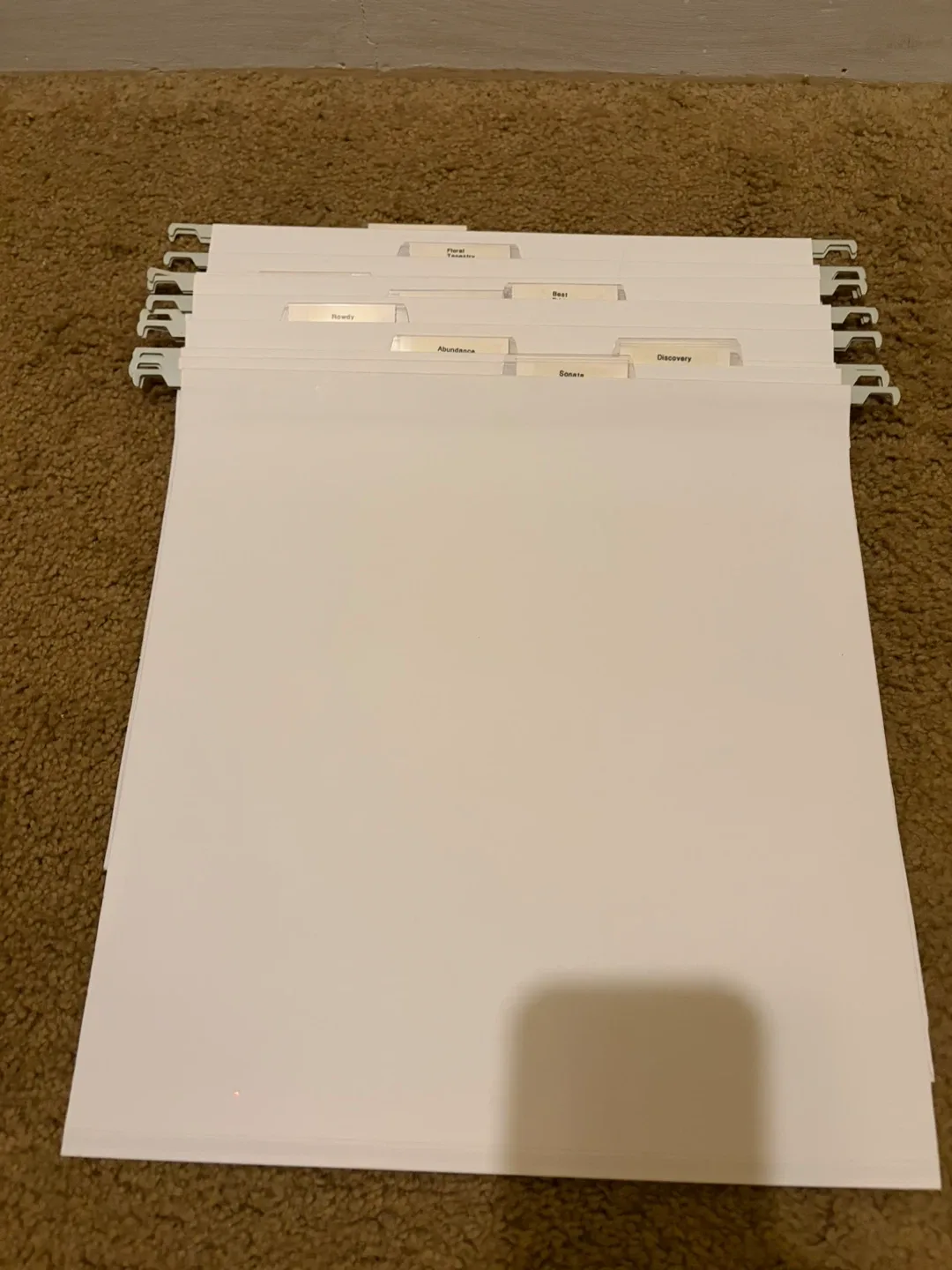 12x12 Hanging File Folders and covers