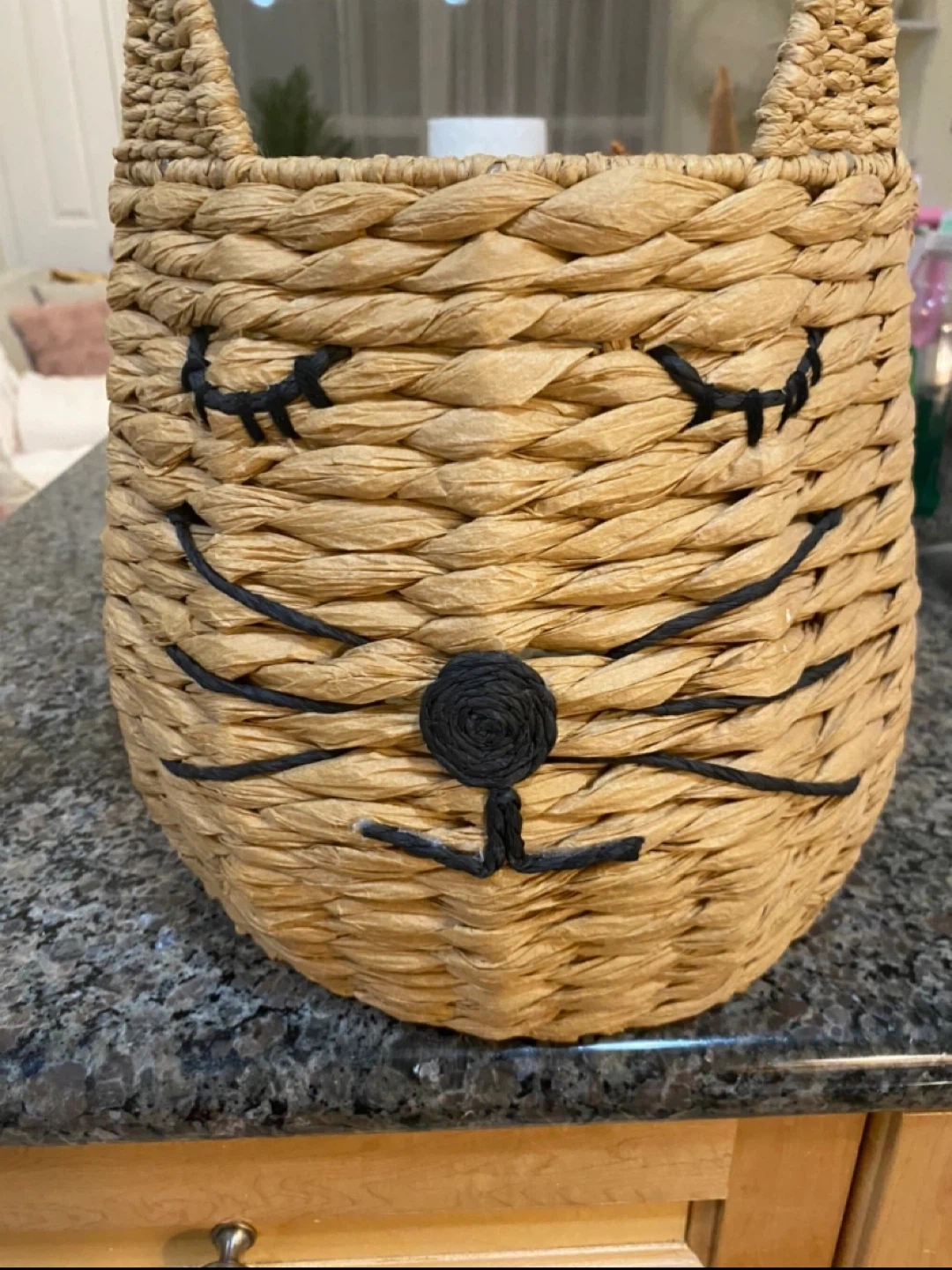 Cute Cat Design Woven Basket