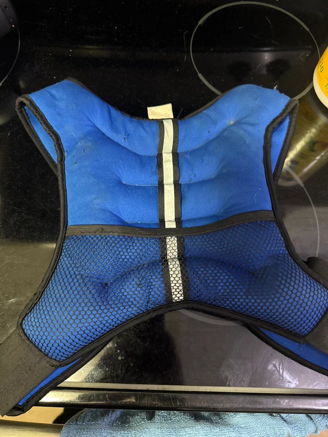 Blue Weighted Vest