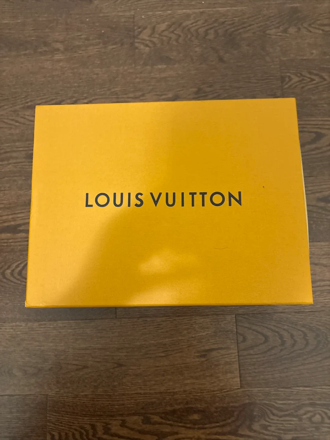 Louis Vuitton skates