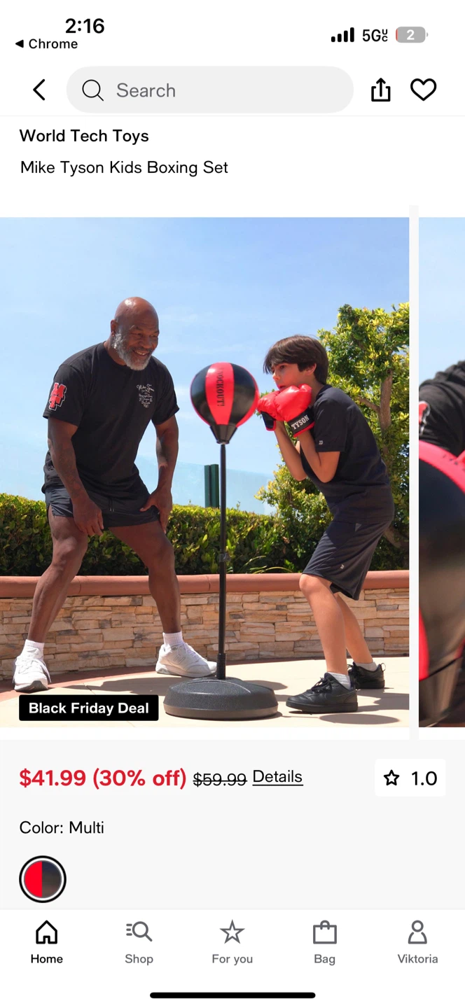 World Tech Toys Mike Tyson Kids Boxing Set