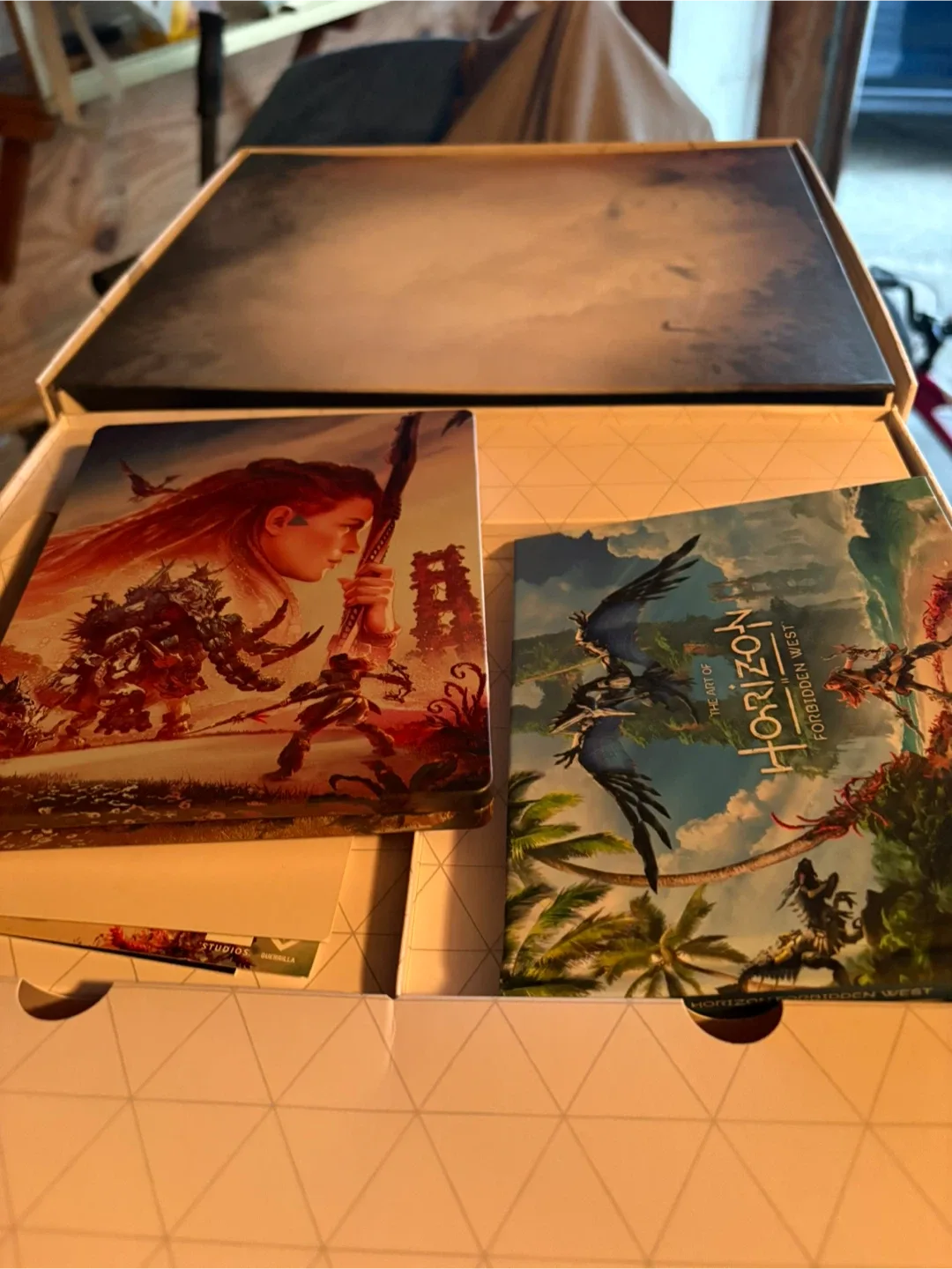 Horizon Forbidden West Regalla Edition image indicator(2)