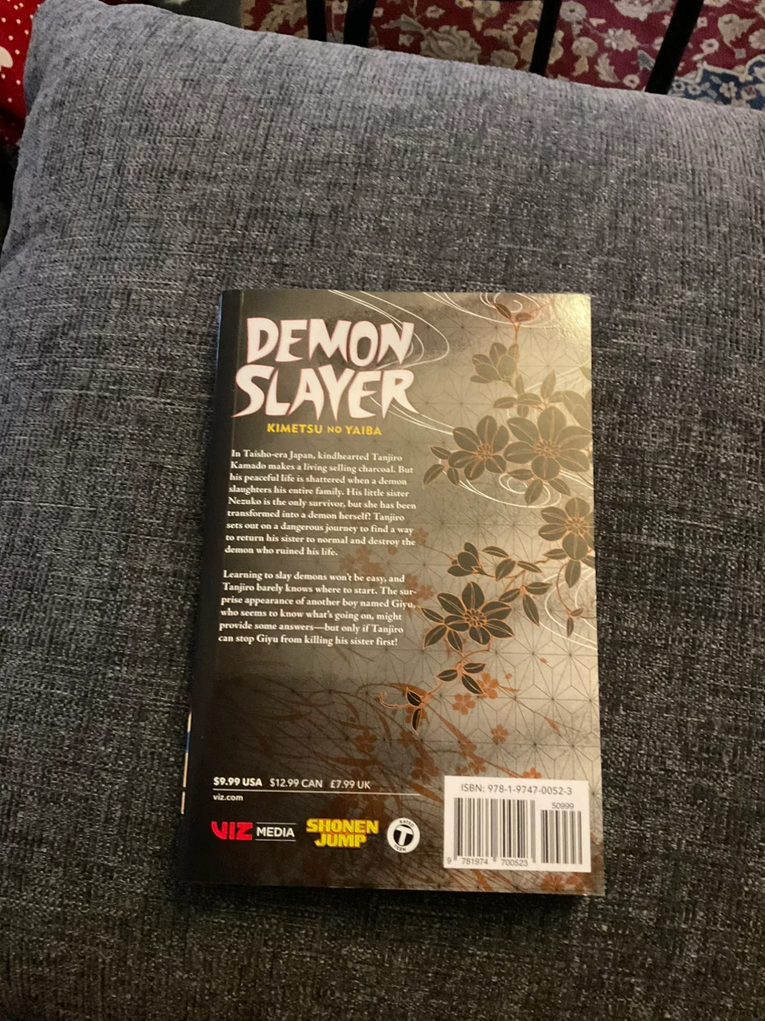 Demon Slayer Vol. 1 Manga image indicator(2)
