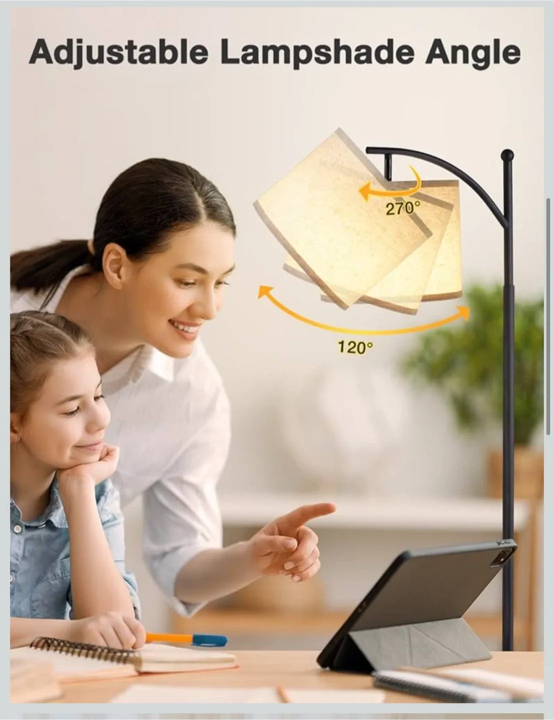 Floor lamp image indicator(3)