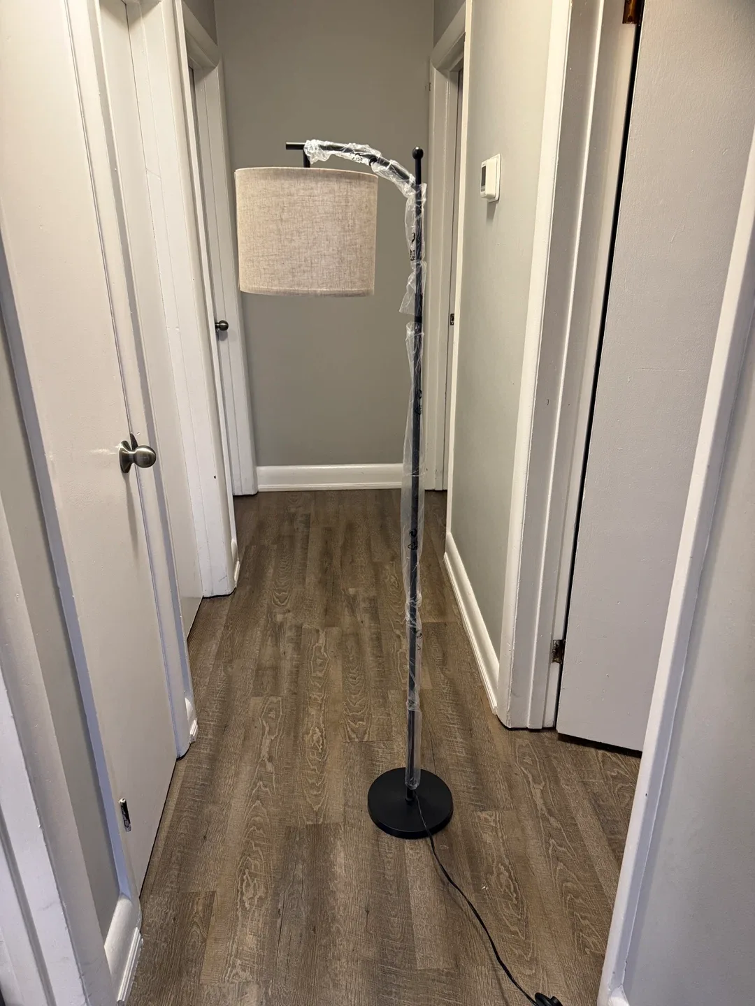 Floor lamp image indicator(10)