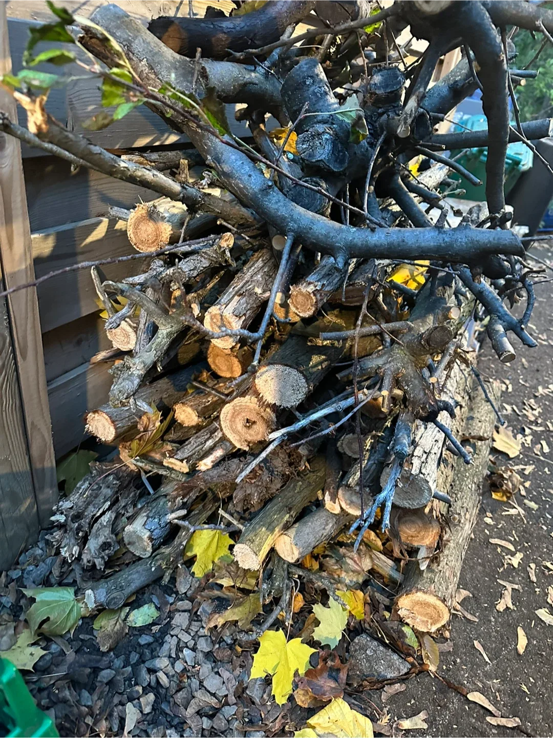 Large pile of wood fire wood logs image indicator(4)