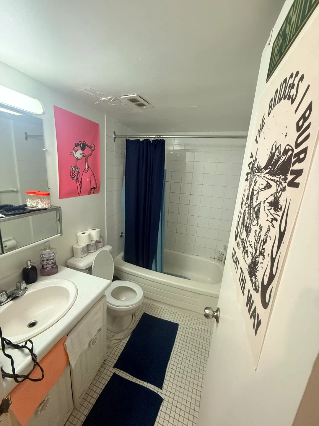 One Bedroom Apartment image indicator(7)