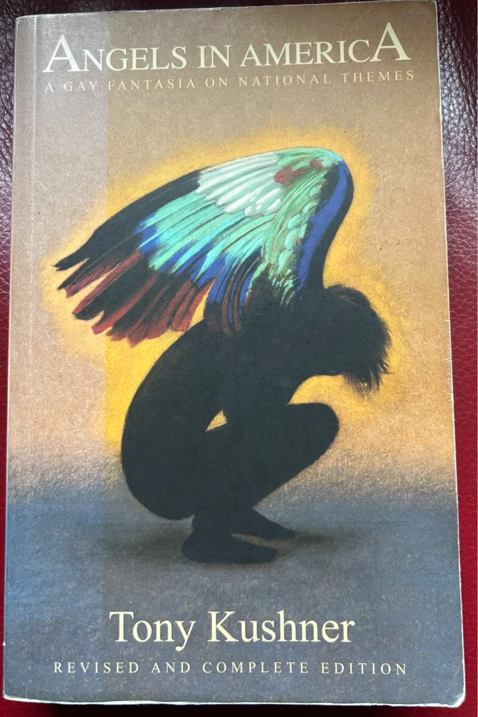 Angels in America by Tony Kushner