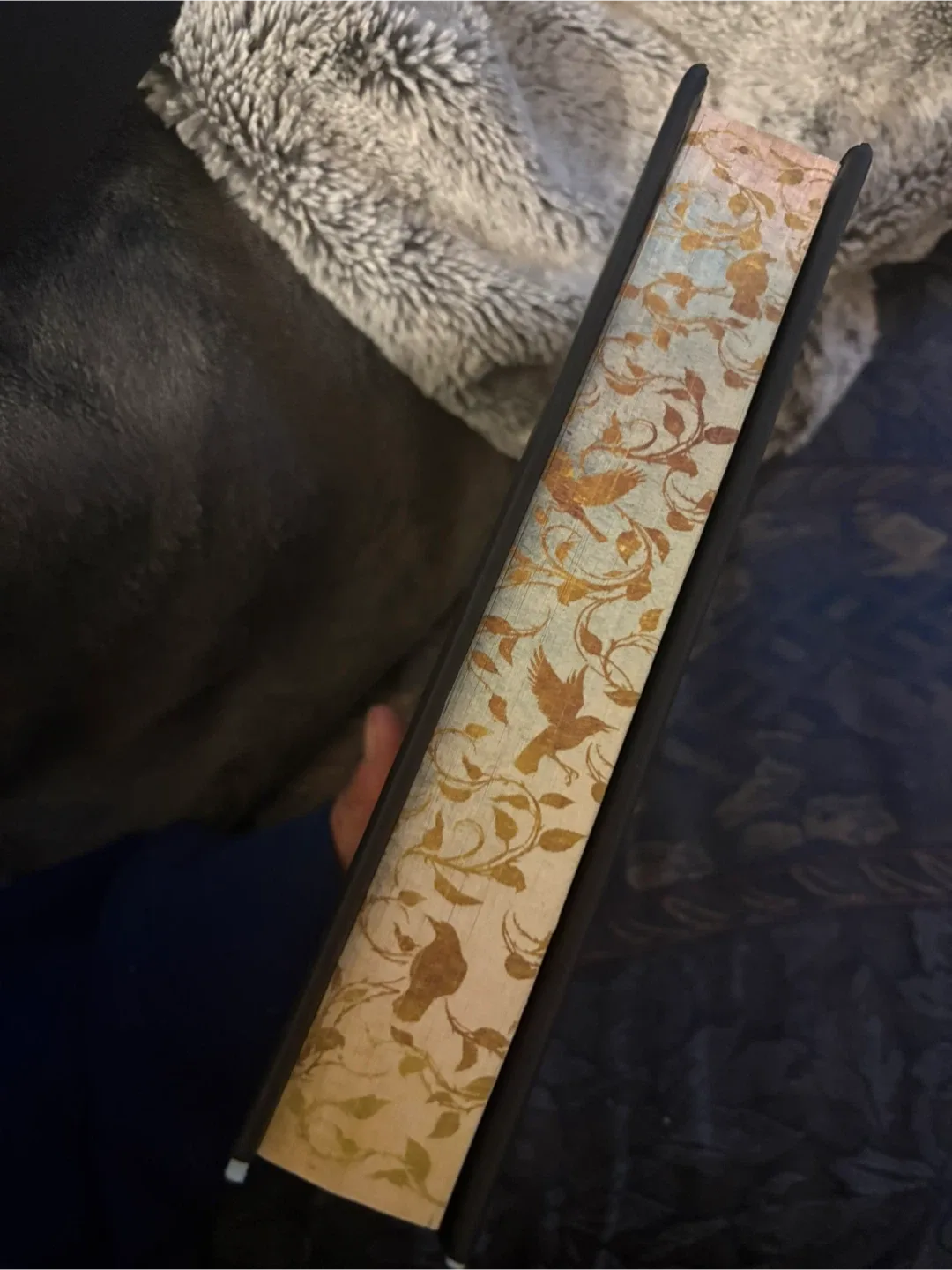 The Nightingale by Kristin Hannah image indicator(2)