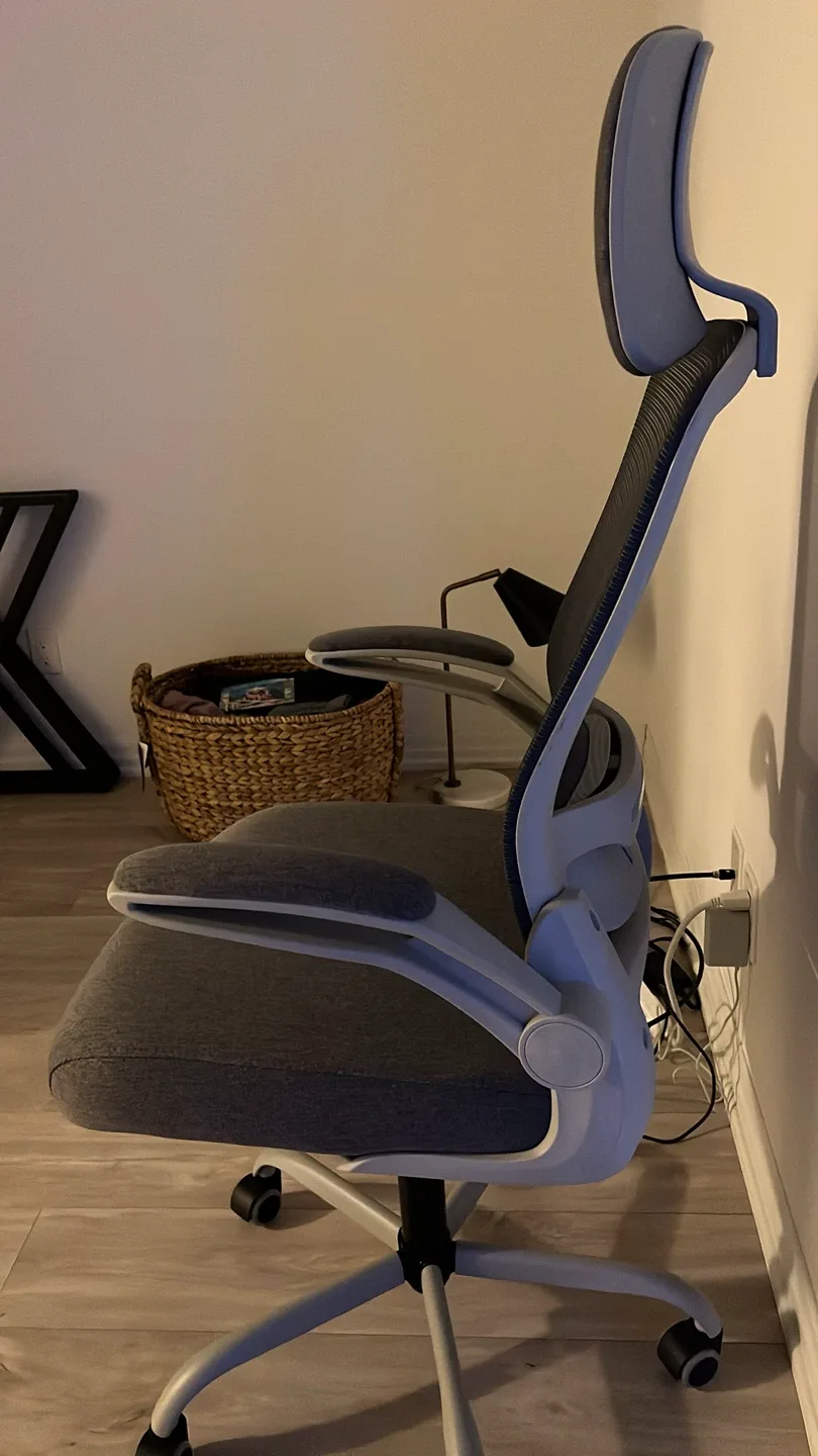 Amazon Ergonomic Office Chair - Lumbar Support image indicator(3)