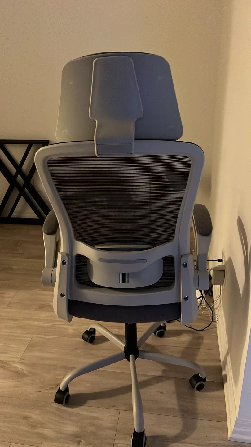 Amazon Ergonomic Office Chair - Lumbar Support image indicator(2)