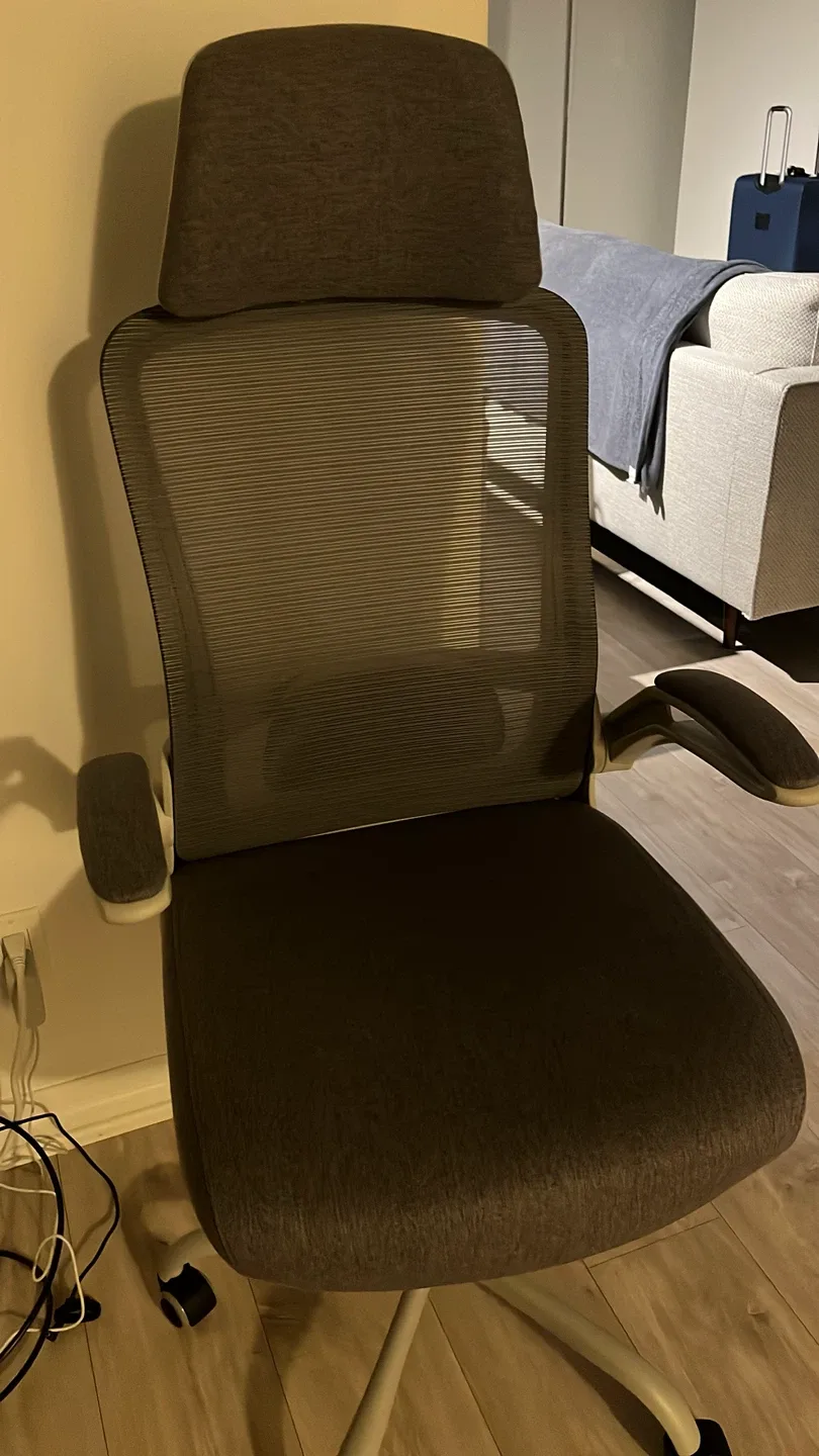 Amazon Ergonomic Office Chair - Lumbar Support