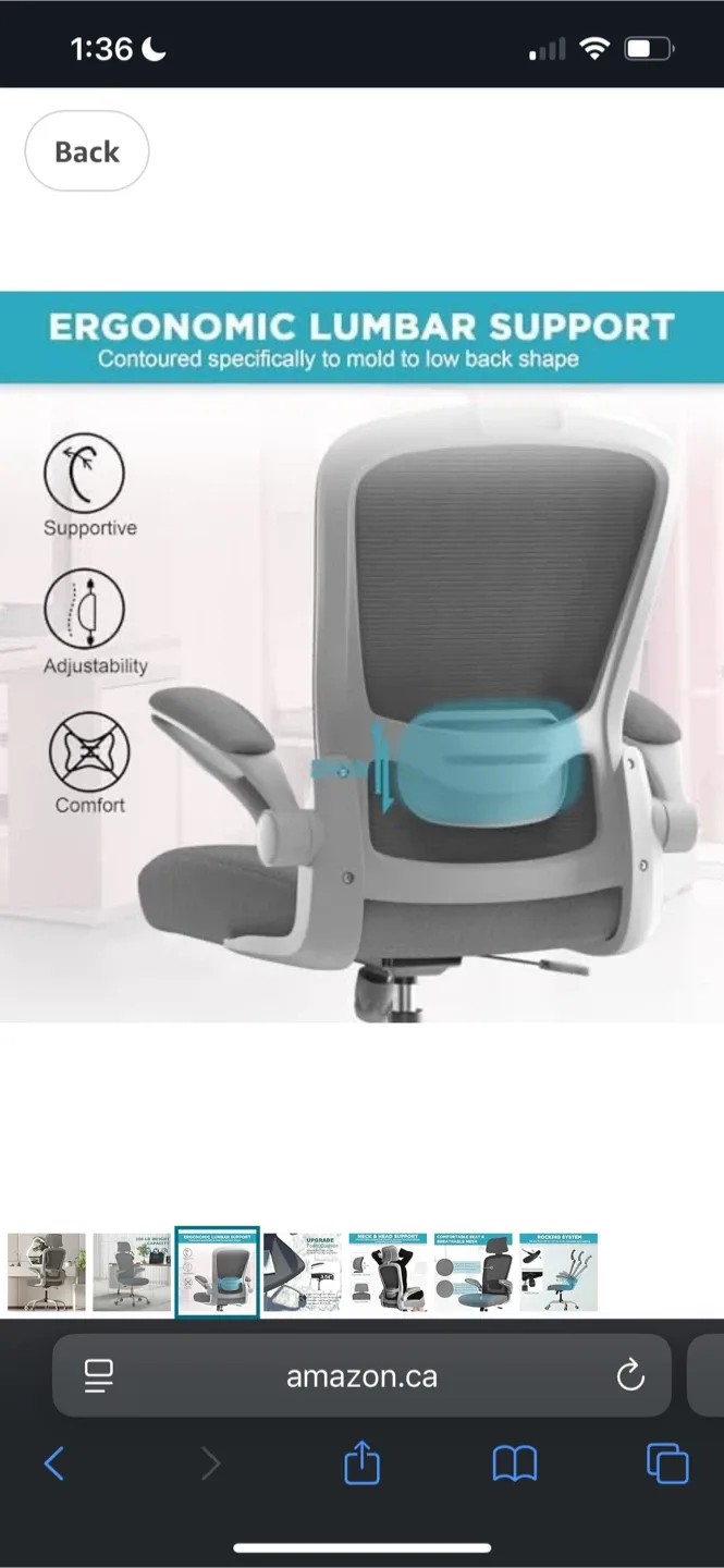 Amazon Ergonomic Office Chair - Lumbar Support image indicator(5)