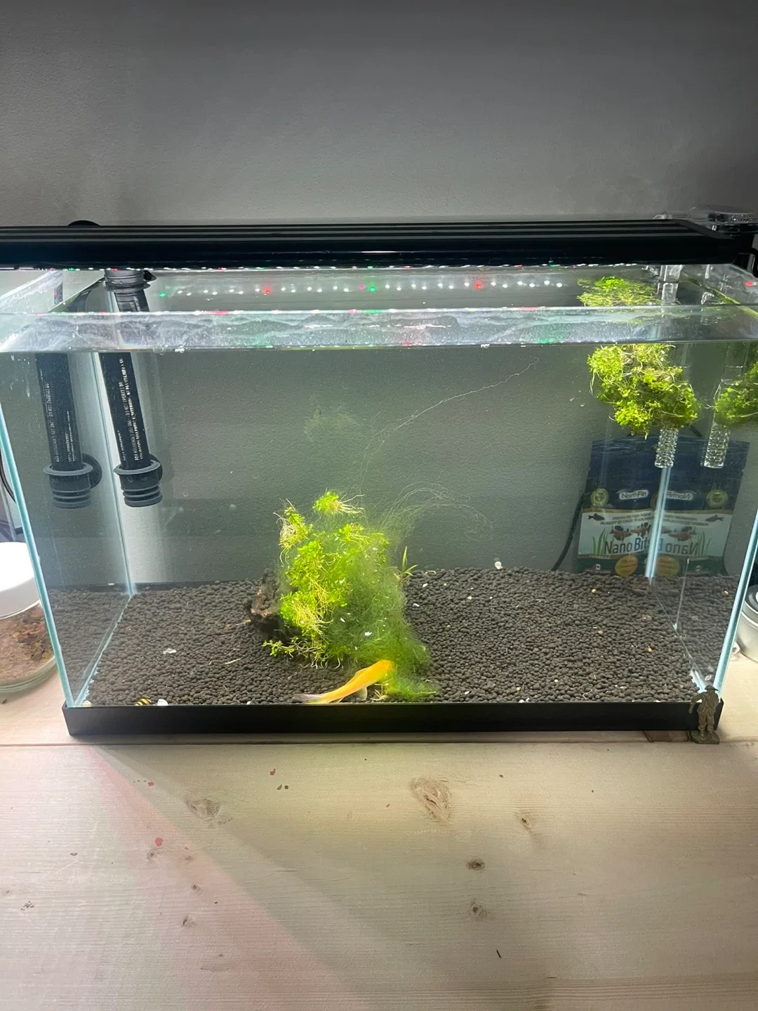 Two Aquariums with Accessories image indicator(3)