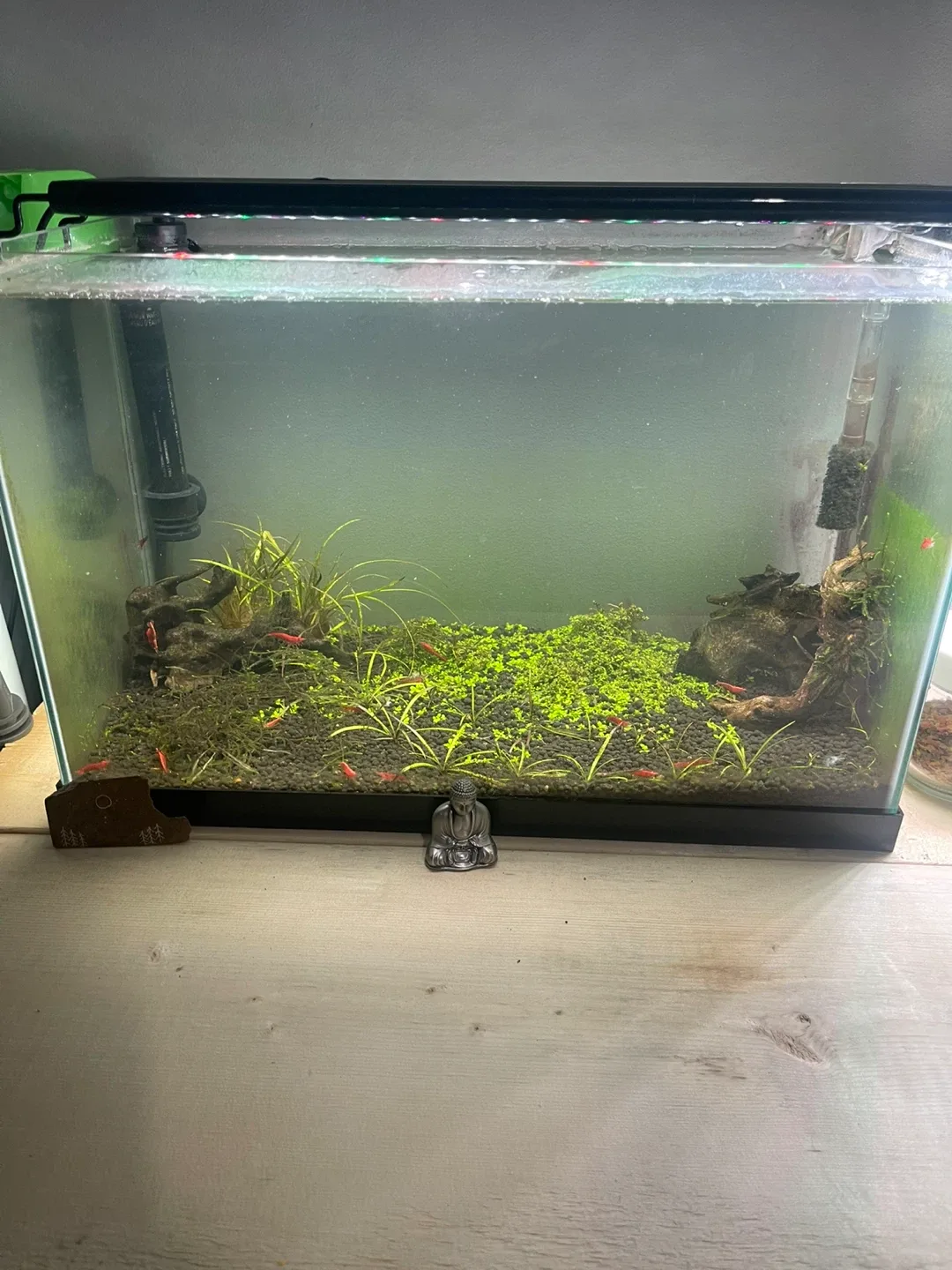 Two Aquariums with Accessories image indicator(2)