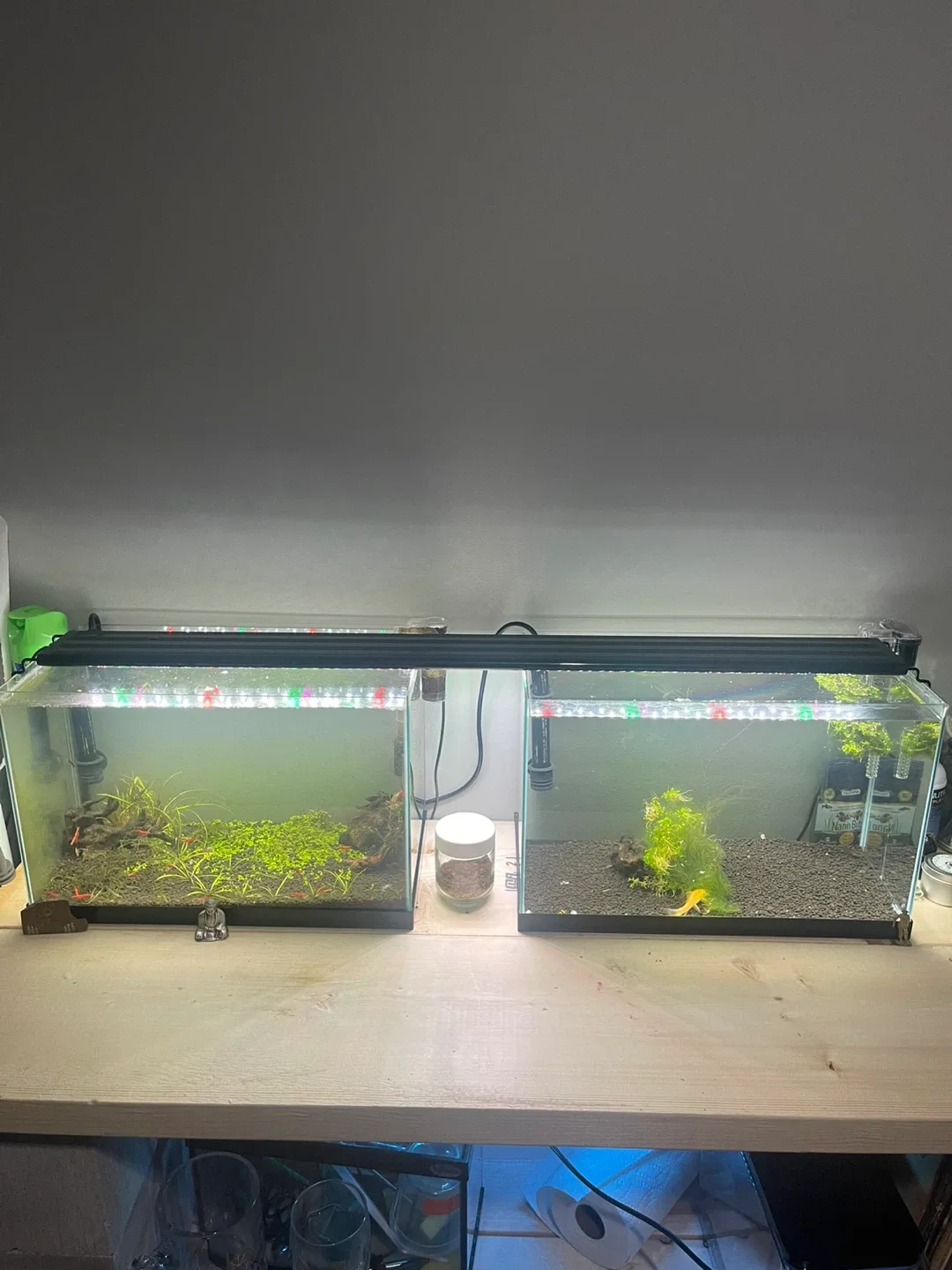 Two Aquariums with Accessories