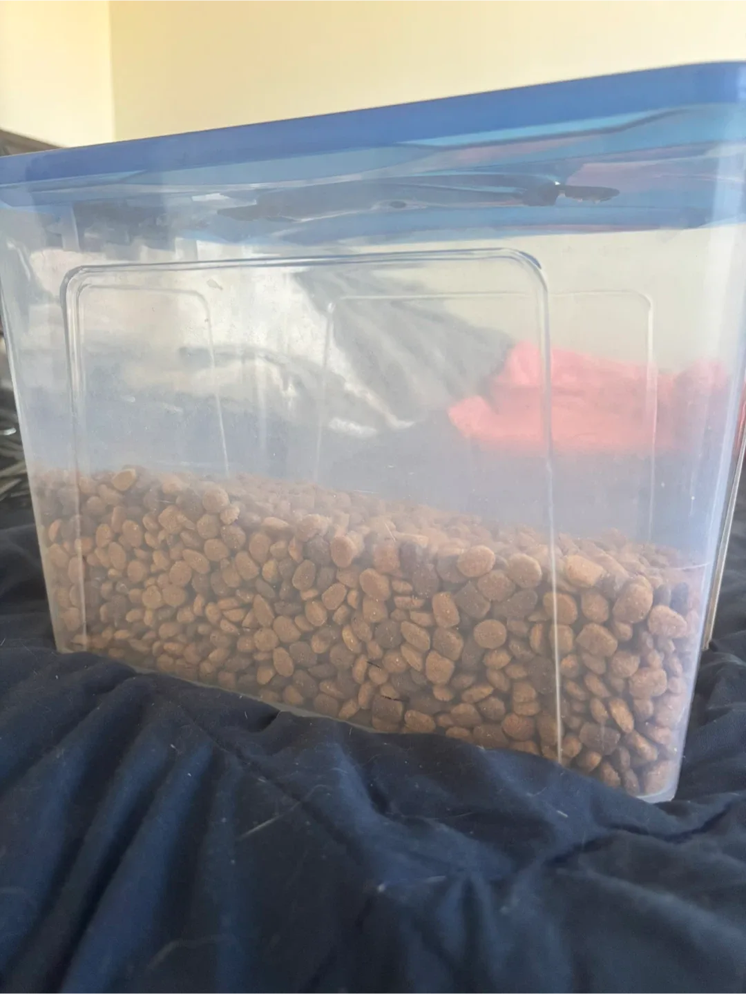 Iams Proactive Health Dog Food