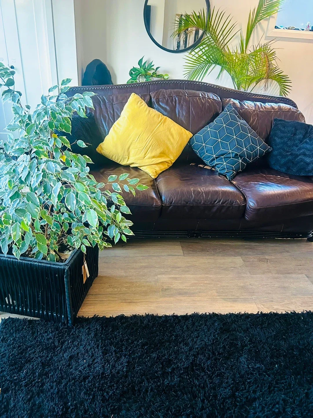 Used Brown Leather Sofa and Patterned Recliner