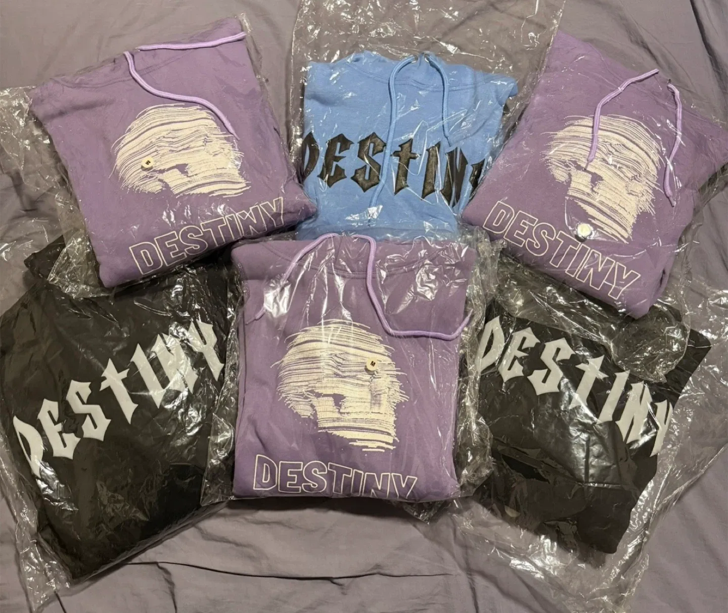 Destiny Graphic Hoodie - Various Colours