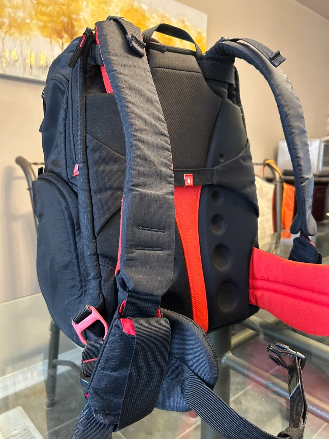 Manfrotto MB PL-3N1-35 Pro Light DSLR Camera Backpack image indicator(3)