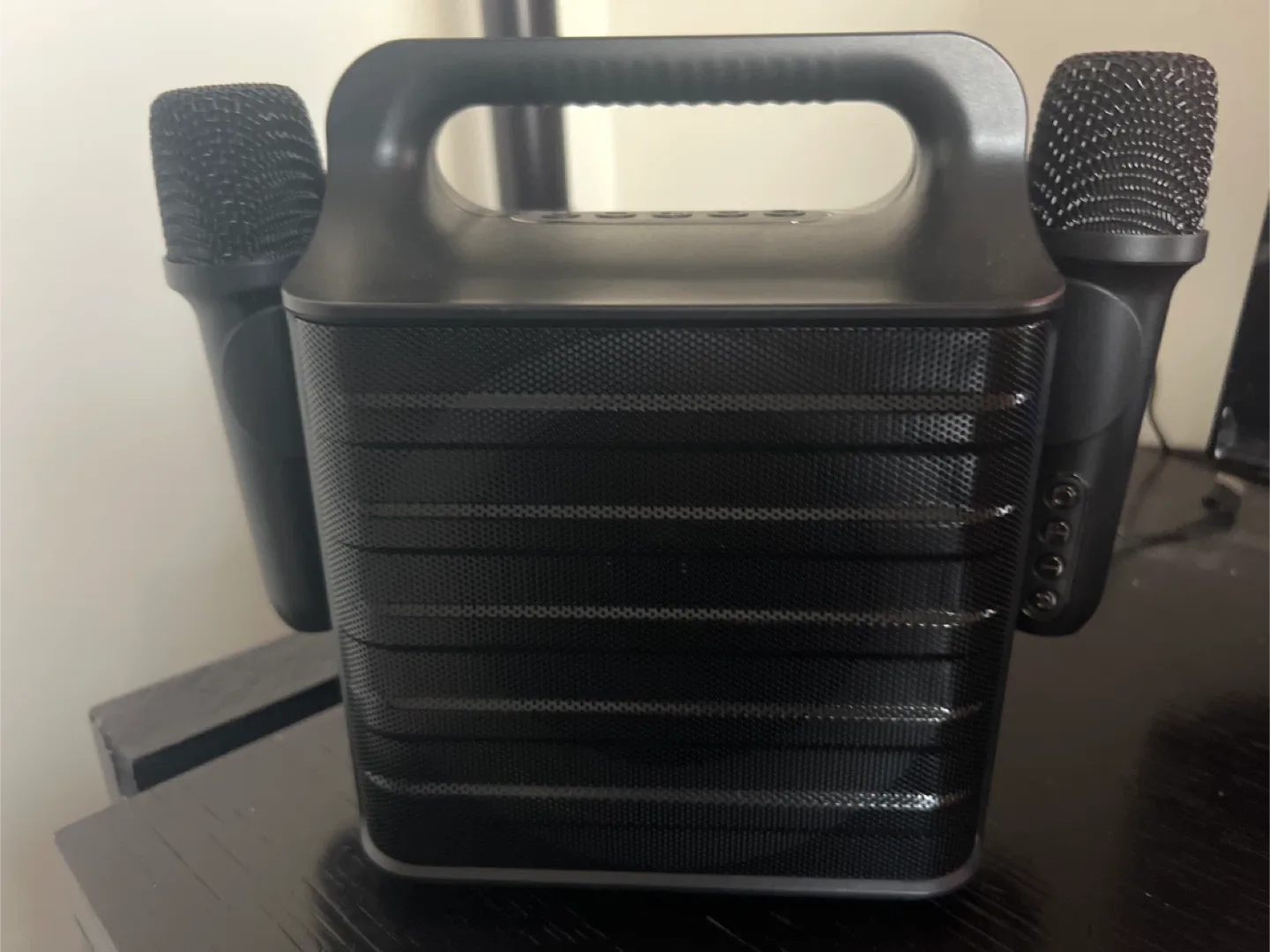 Portable Karaoke Audio System with 2 Microphones