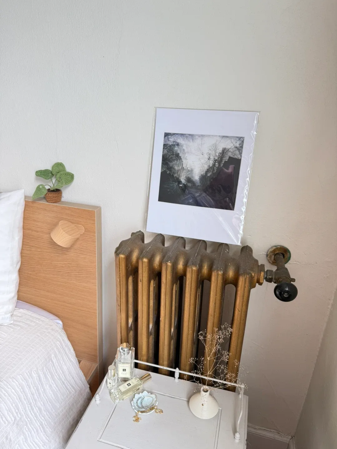 BNIB Original Photograph - Tyler Wilson image indicator(4)