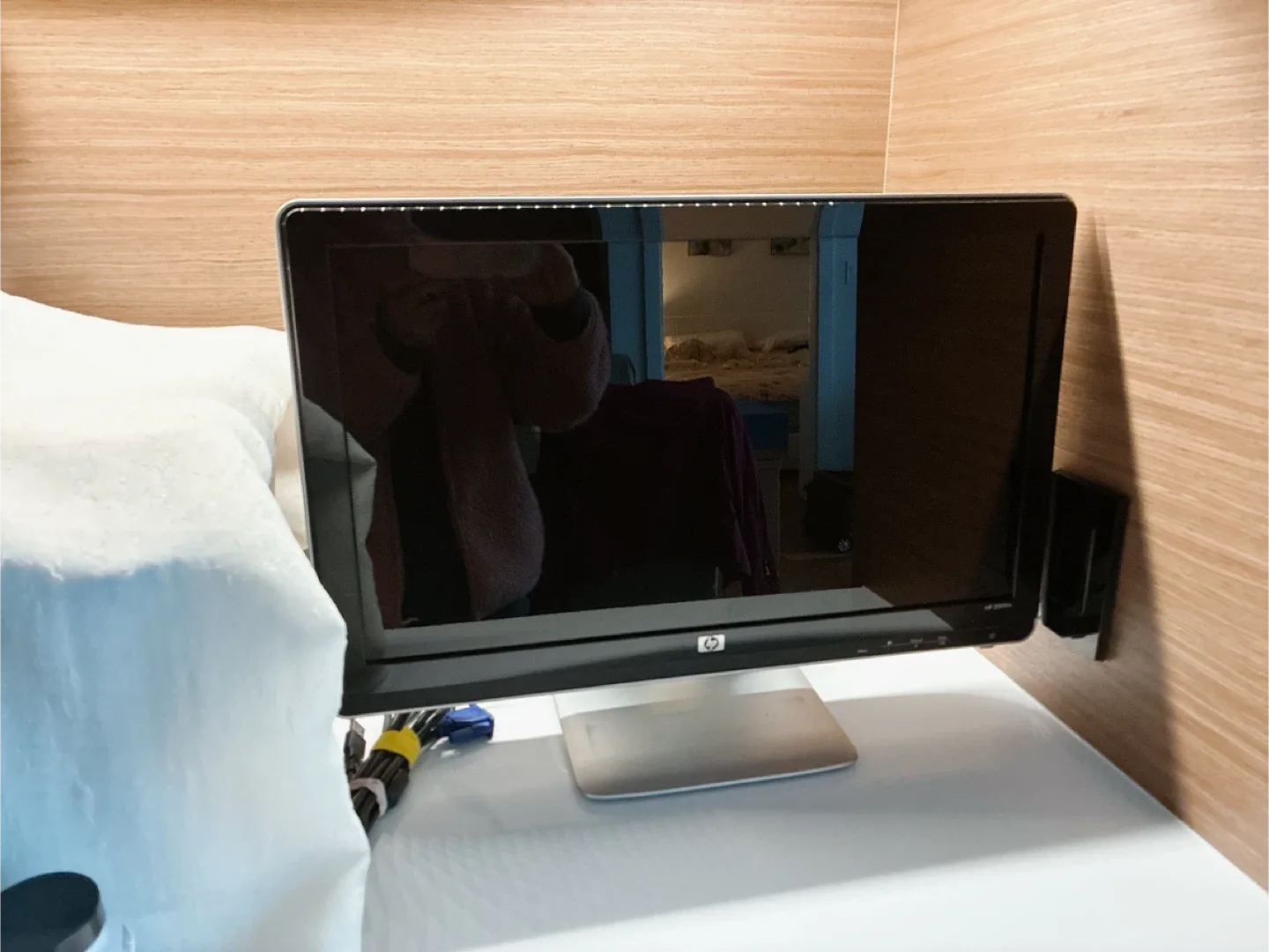 HP 2009m LCD Monitor, 20 inches