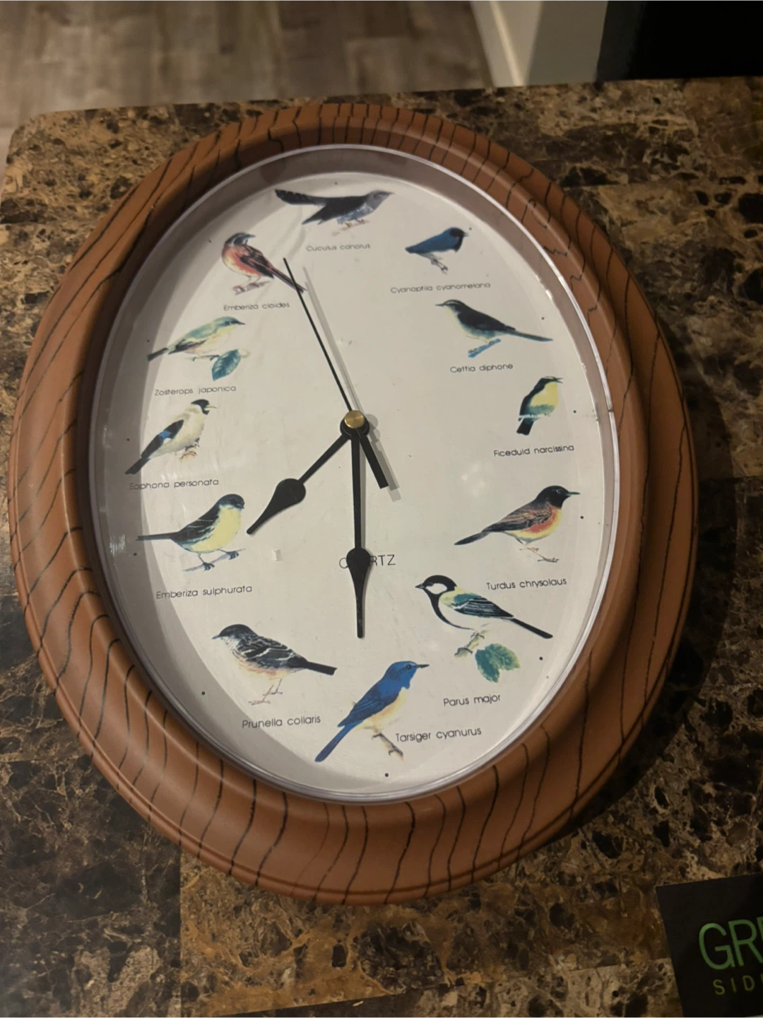 Bird Species Wall Clock
