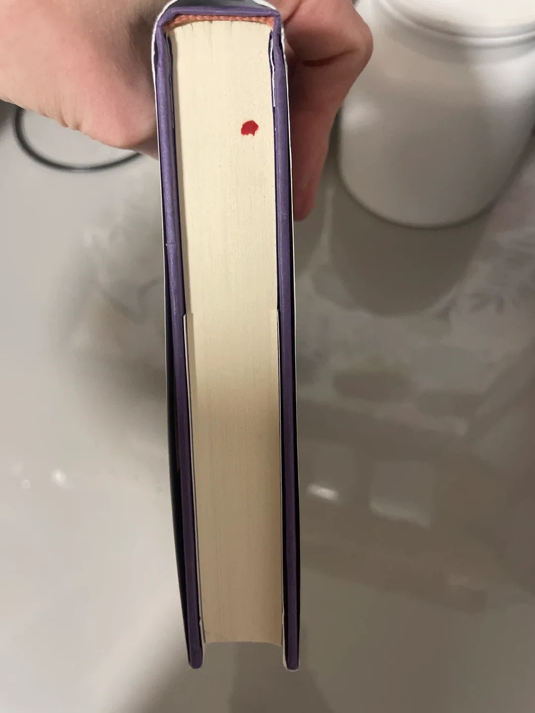 The Expatriates by Janice Y. K. Lee image indicator(4)