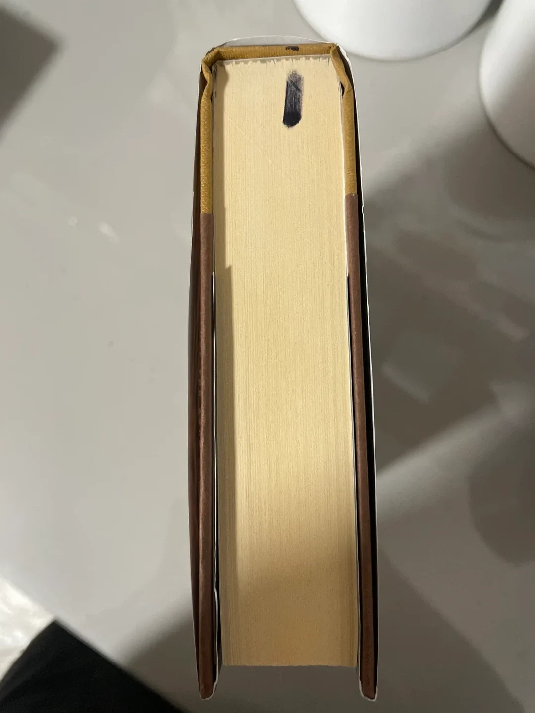 The Dead Enders by Erin Saldin image indicator(4)