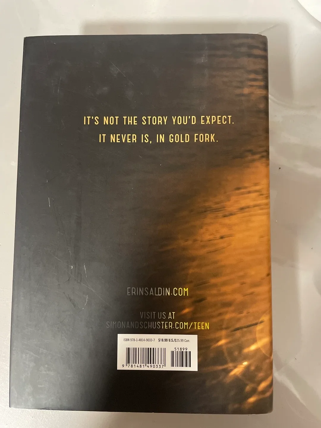 The Dead Enders by Erin Saldin image indicator(2)